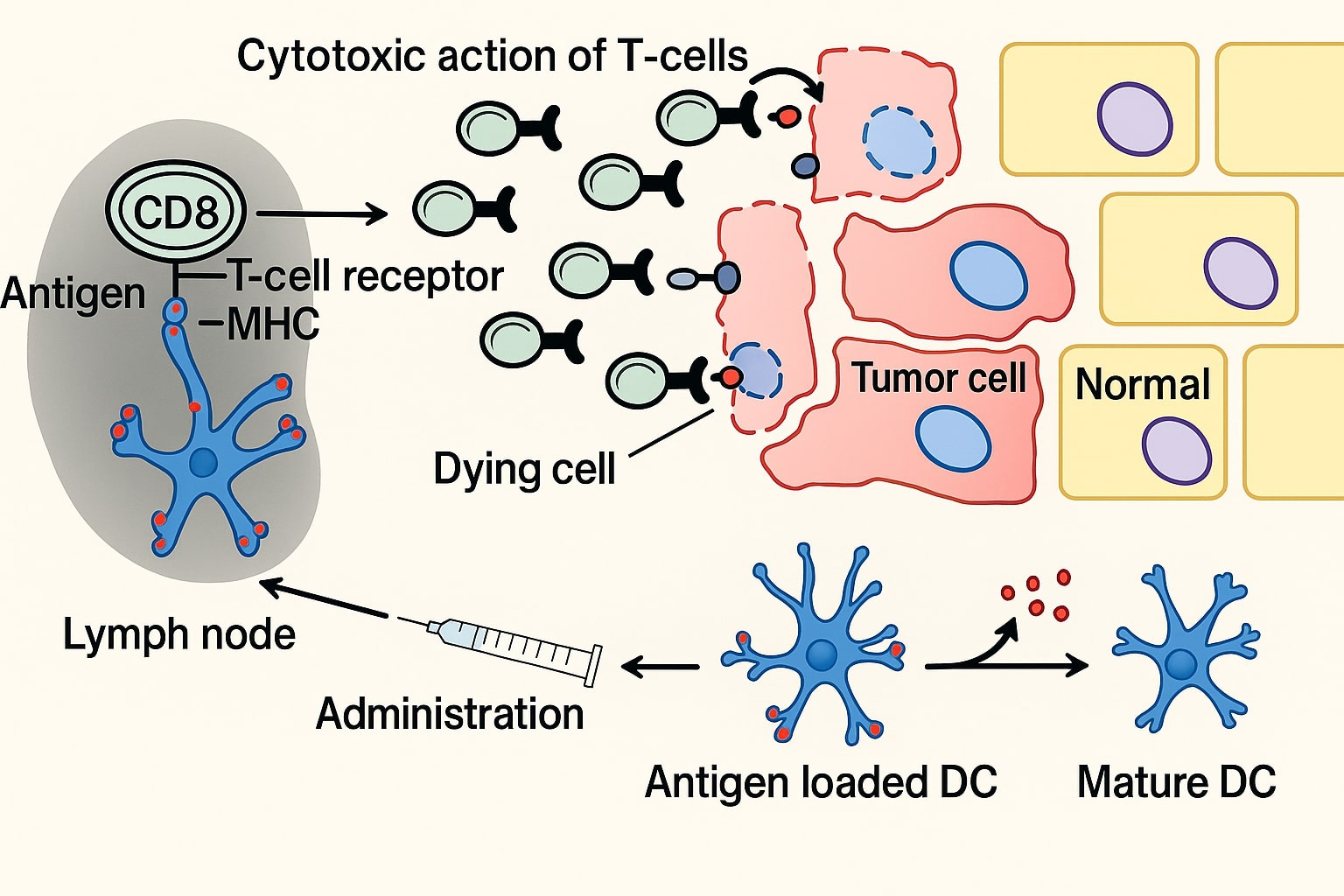 Scientist preparing dendritic cell vaccine in lab
